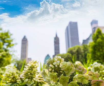 1701008470834177.jpg 266.jpg